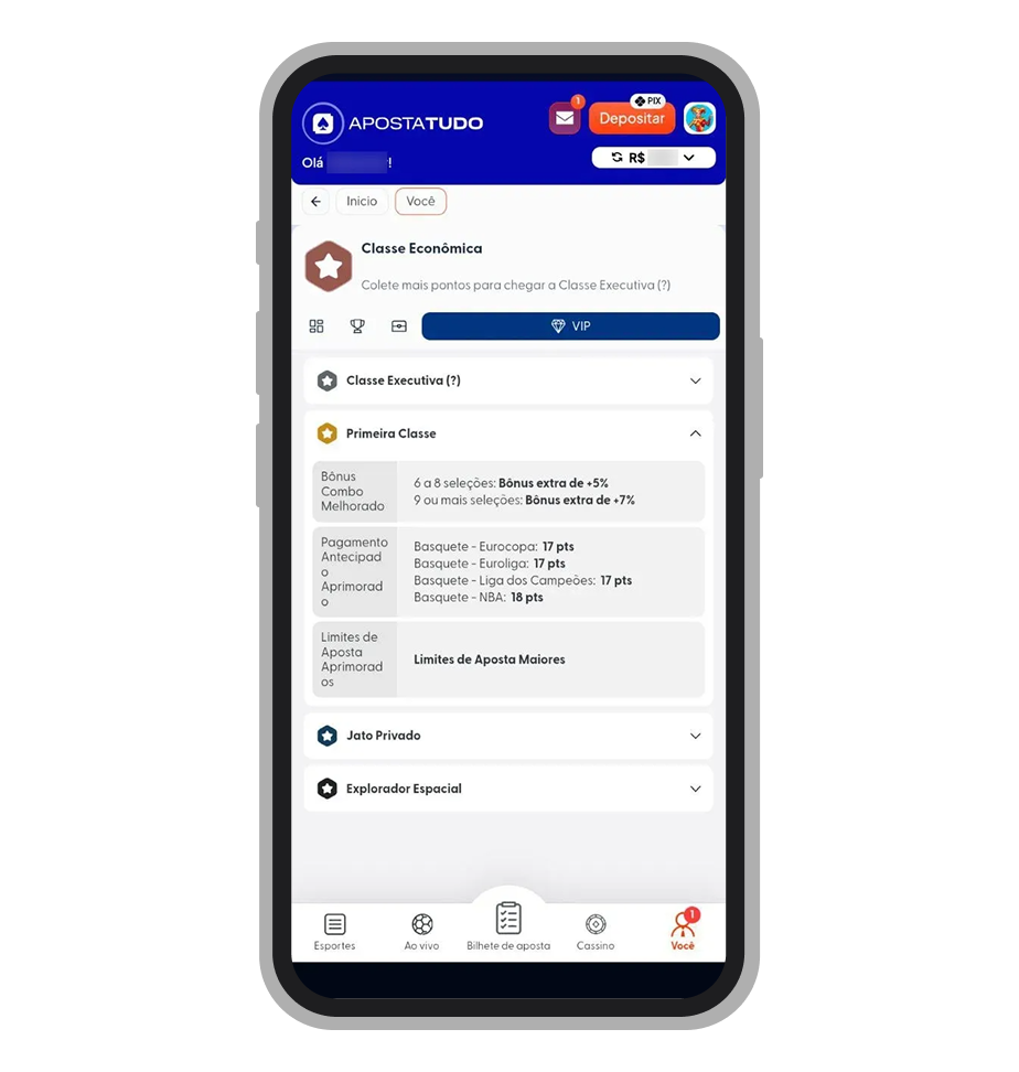 Área de perfil do Apostatudo destacando o Programa VIP e níveis de classe