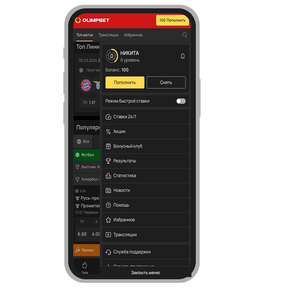 Меню профиля на сайте