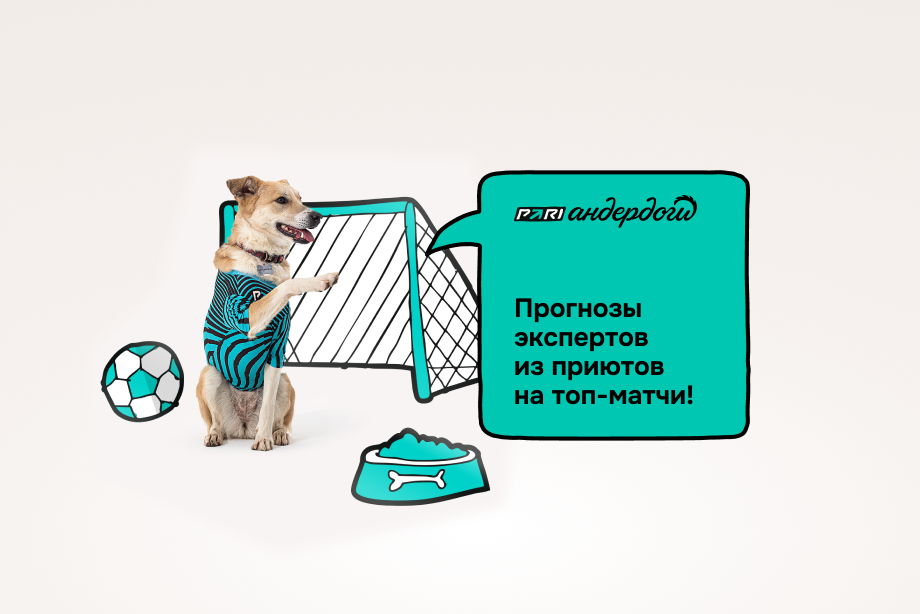 675c3efe10f16_1734098686-920x614.png