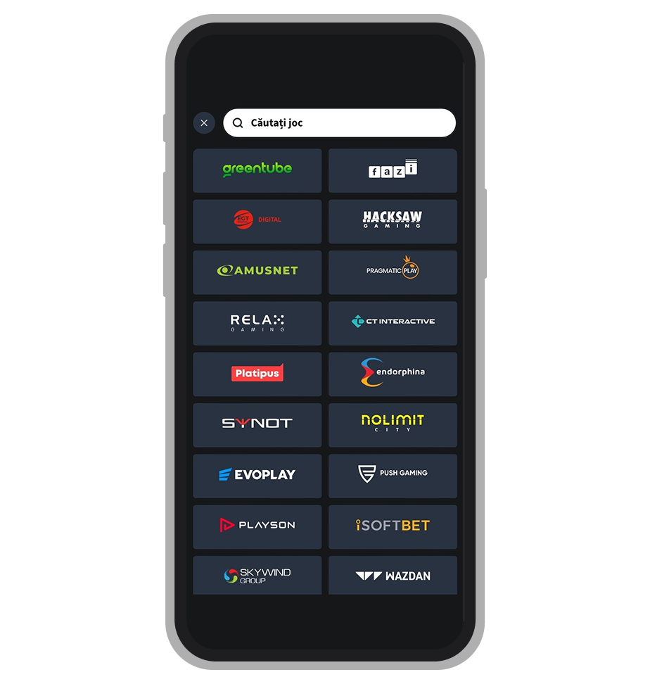 Furnizori de software la Conti