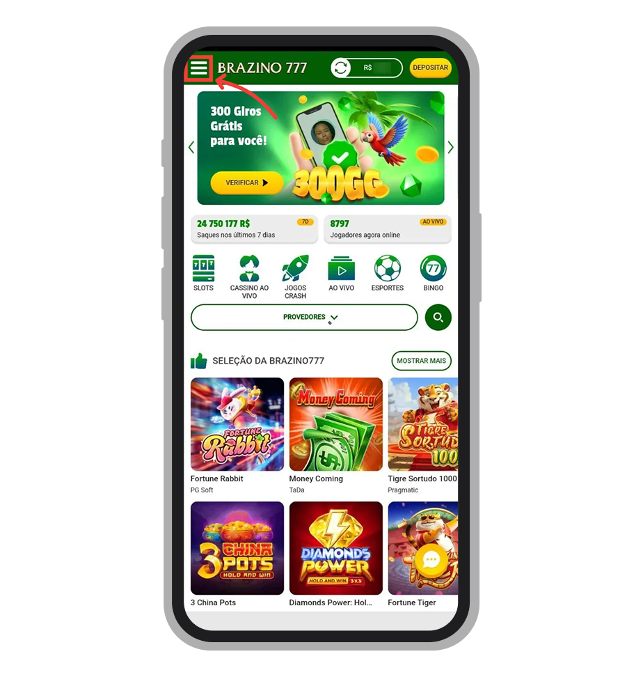 Depois de fazer o seu primeiro login acesse o menu 