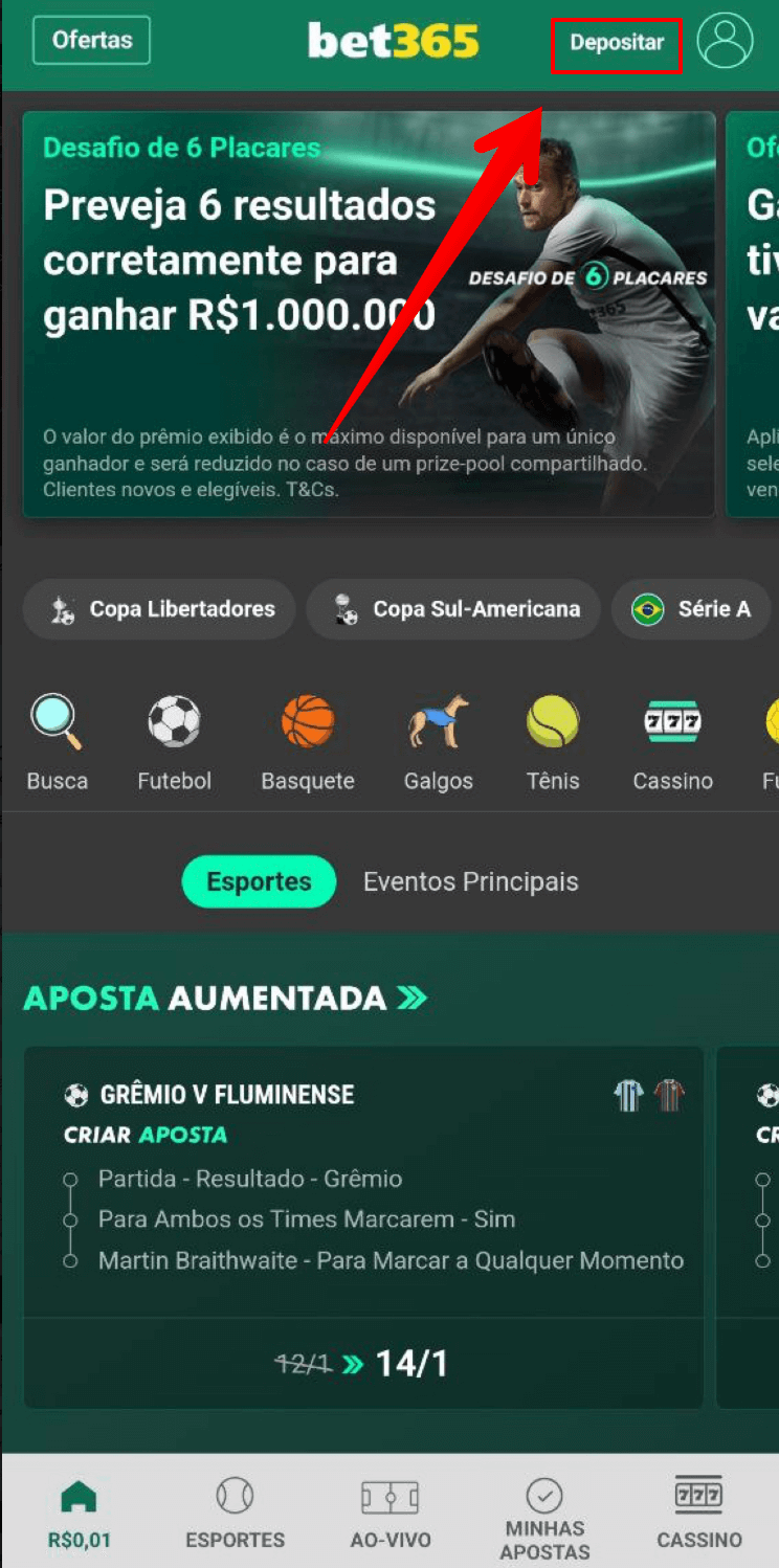 Acesse a seção de pagamentos