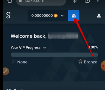 Navigate to the “Wallet” icon