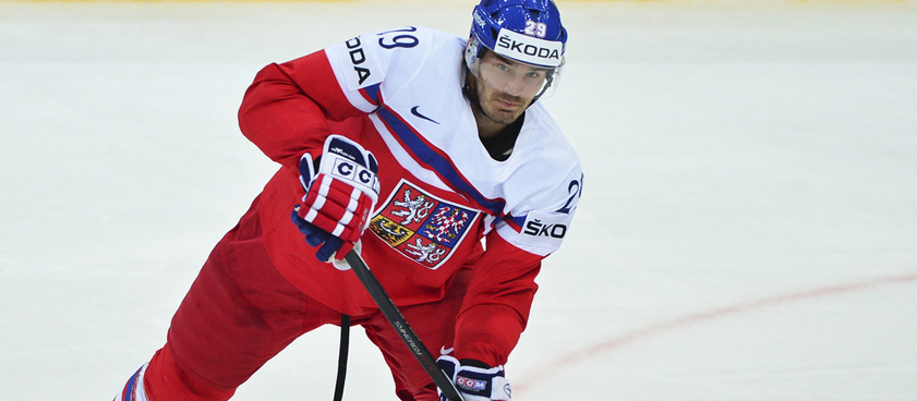 Финляндия – Чехия: прогноз на хоккей от Владимира Вуйтека