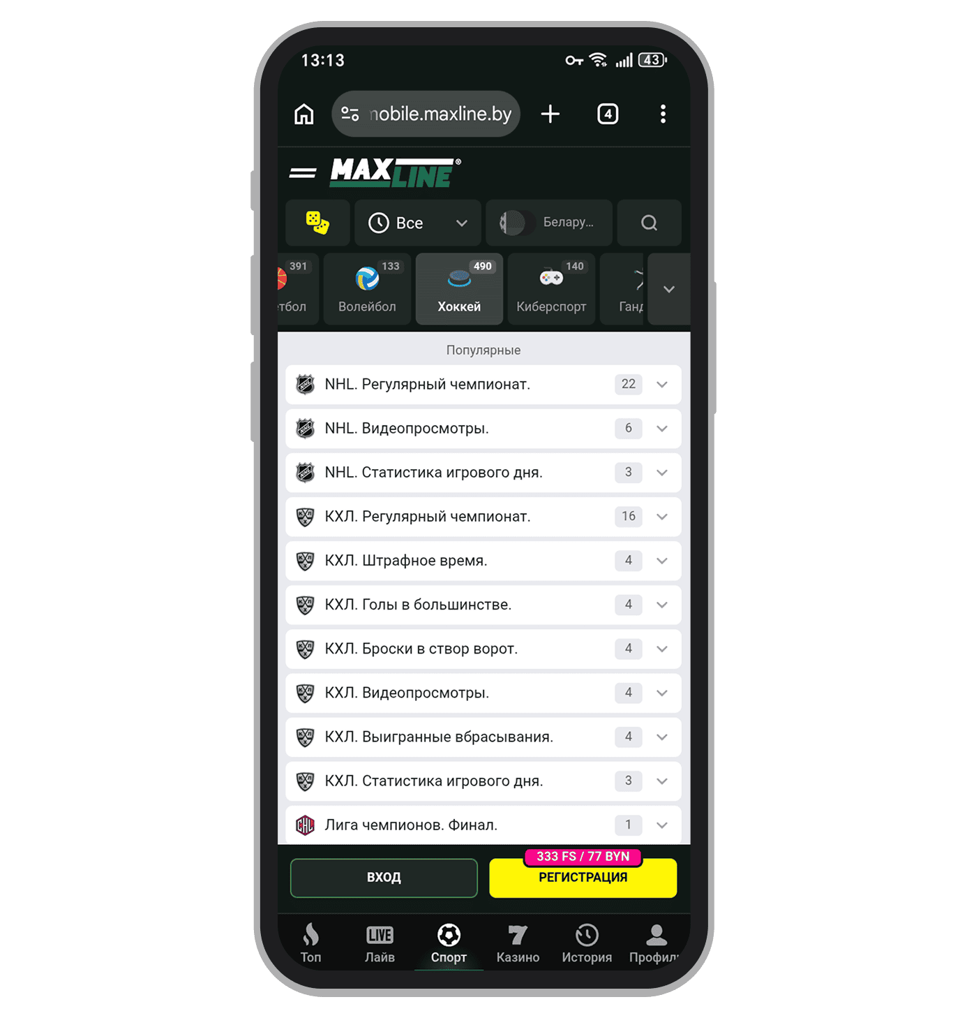 Роспись на хоккей