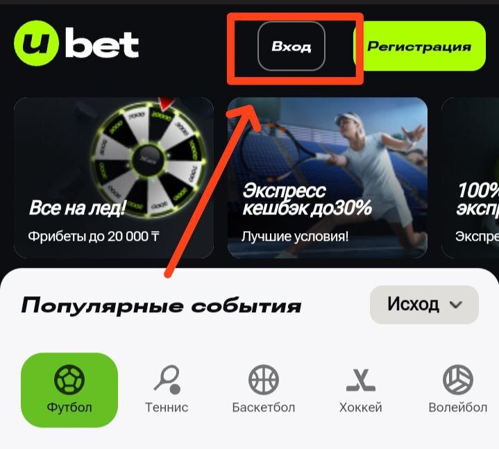 Вход в ЛК в мобильном приложении БК Ubet