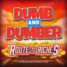 Dumb and Dumber Route to Riches