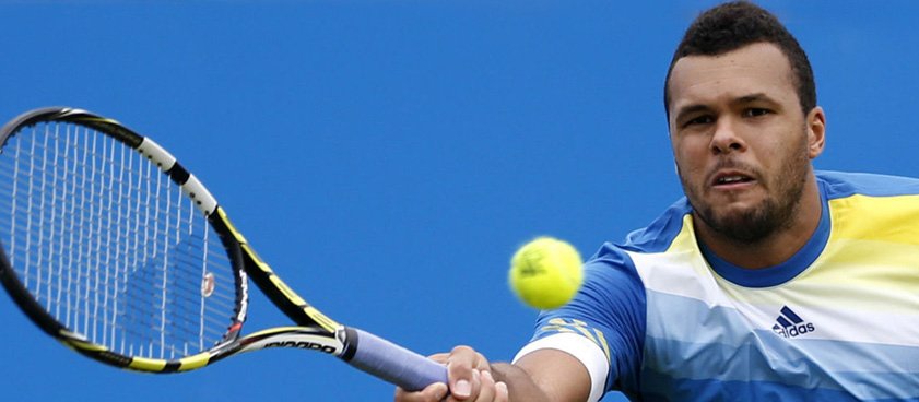 Теннис. Новак Джокович - Жо Вилфрид Тсонга. Прогноз Сергея Фомина