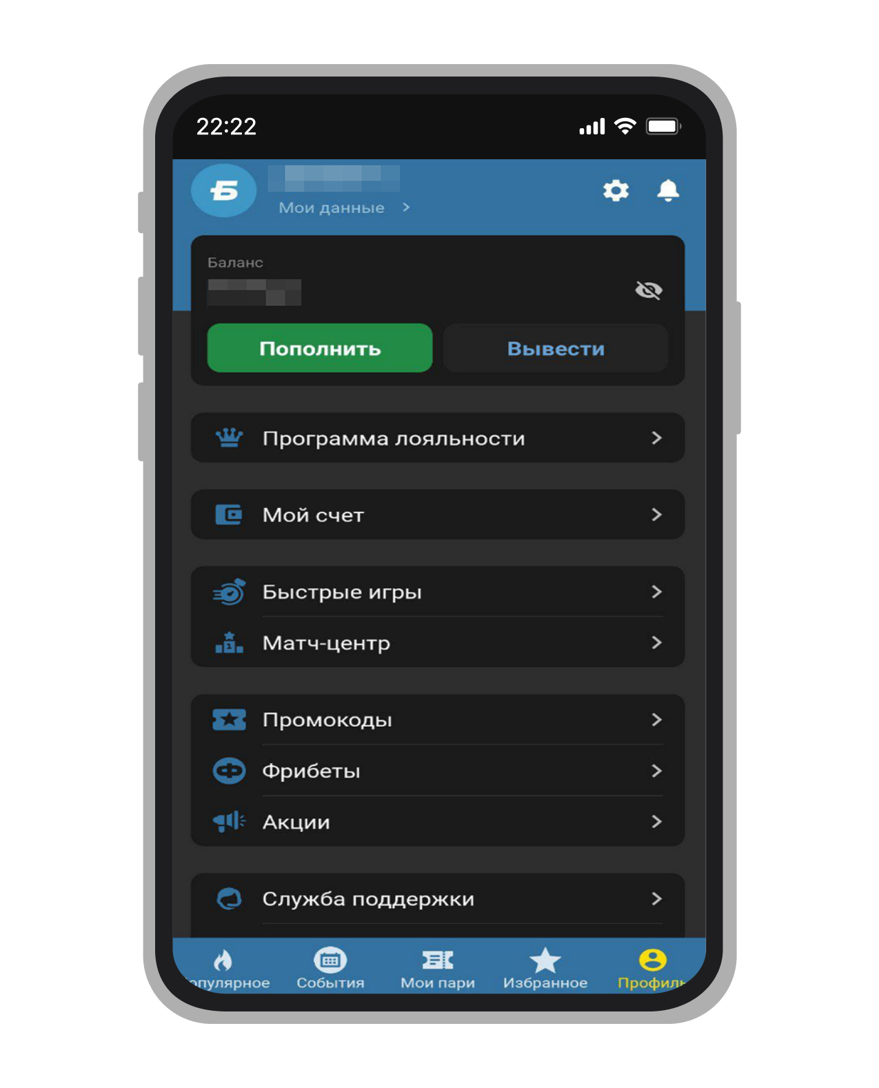 Личный профиль в приложении «Бетсити»