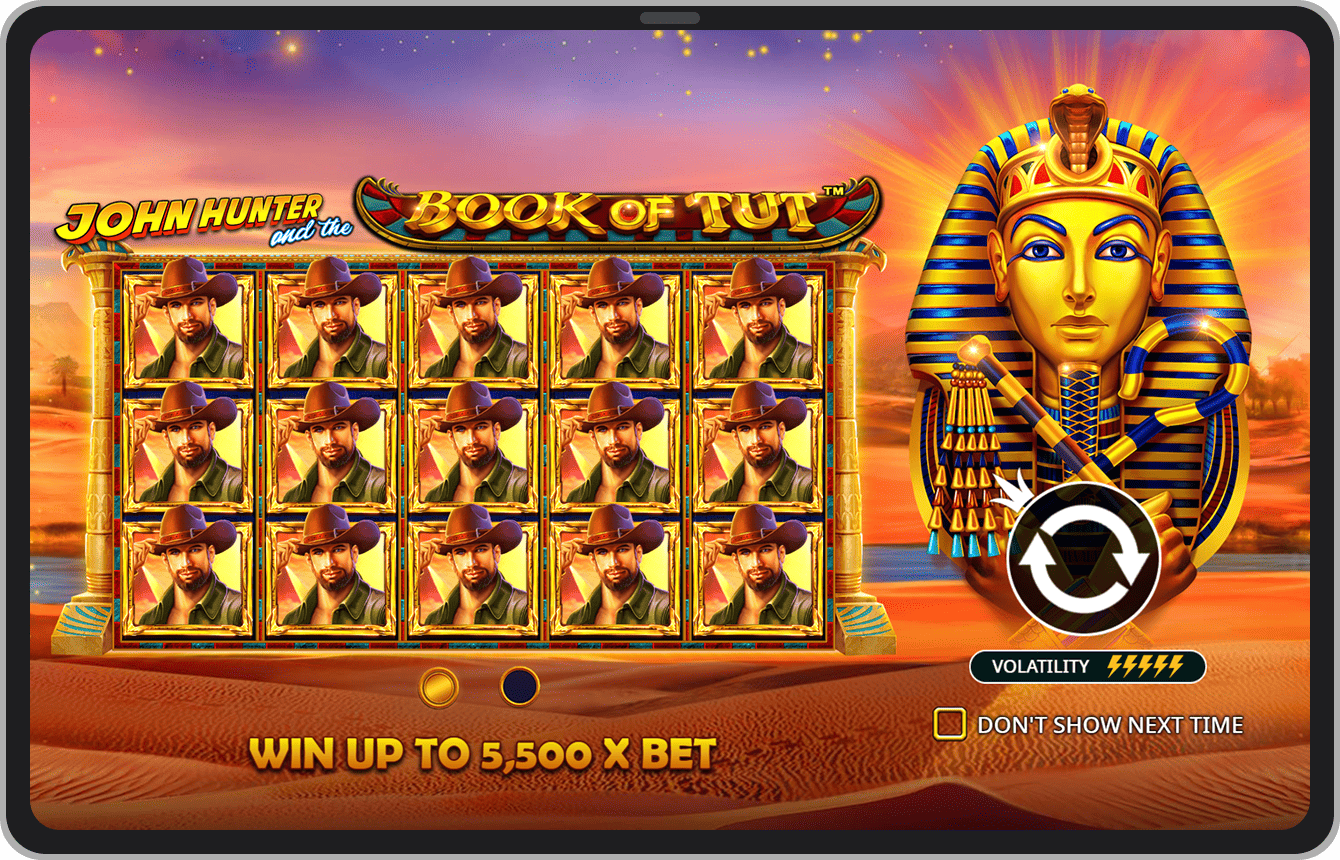 Ecran de introducere