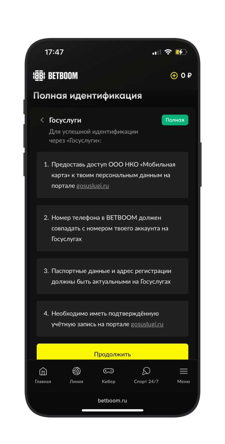 Идентификация через Госуслуги