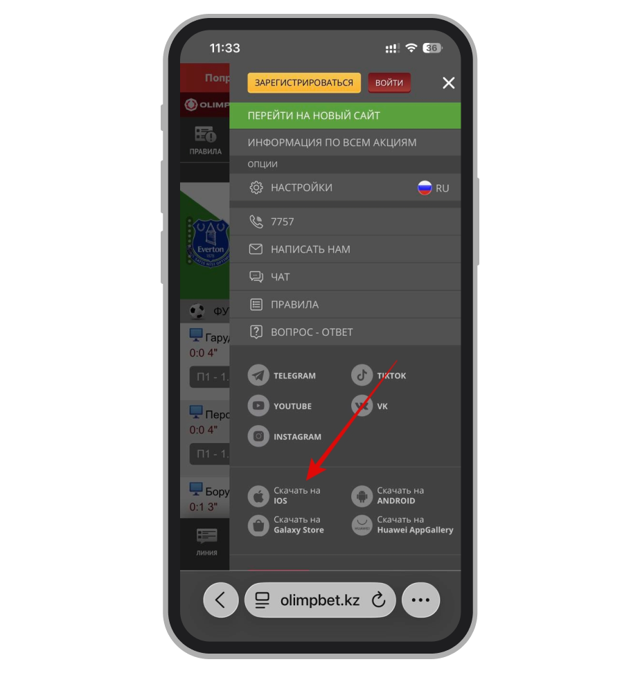Ссылка на App Store на сайте