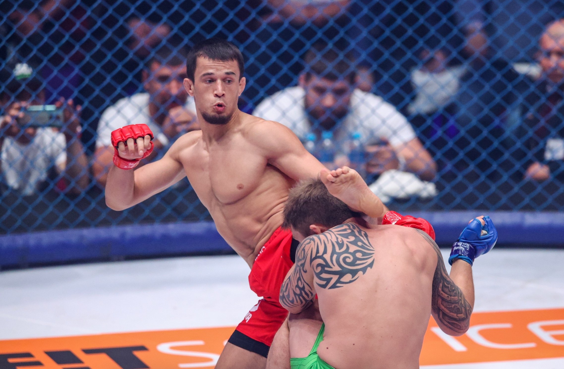 Усман Нурмагомедов задушил англичанина Дэвиса и защитил пояс PFL.