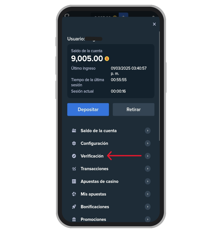 Stake App Verificación