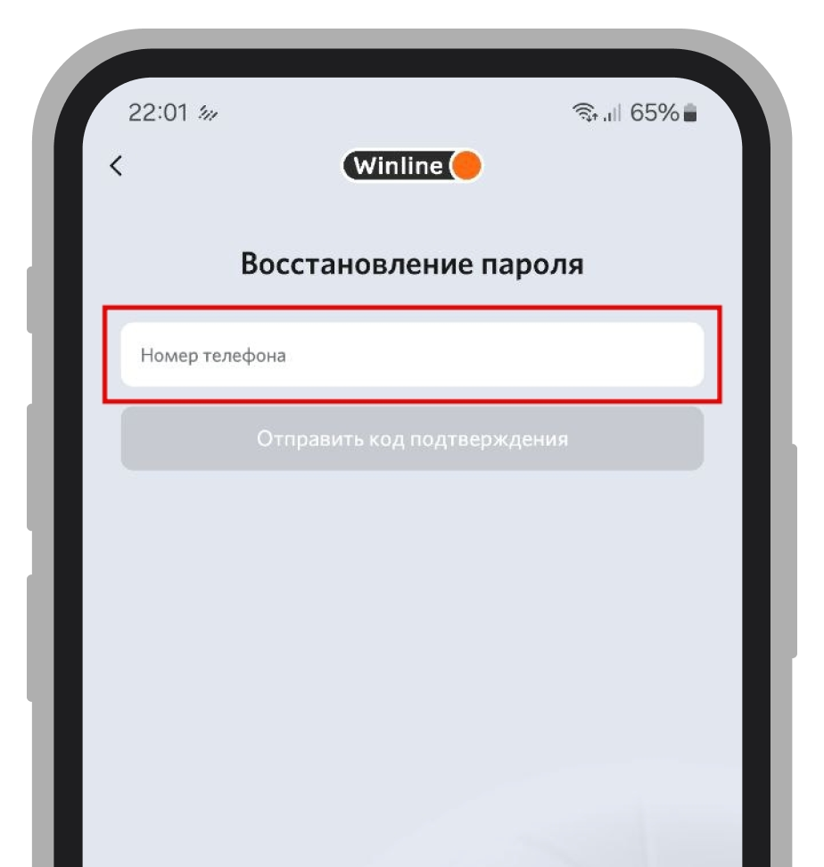 Форма восстановления пароля