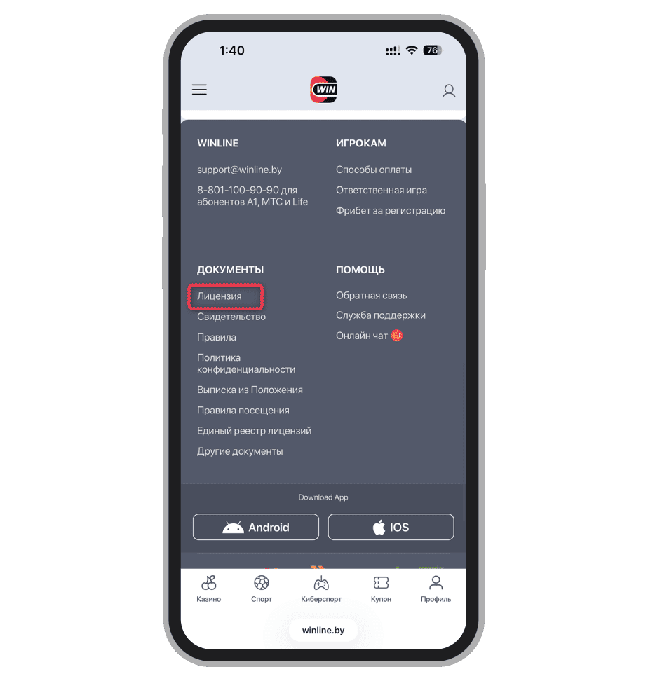 Раздел с лицензией