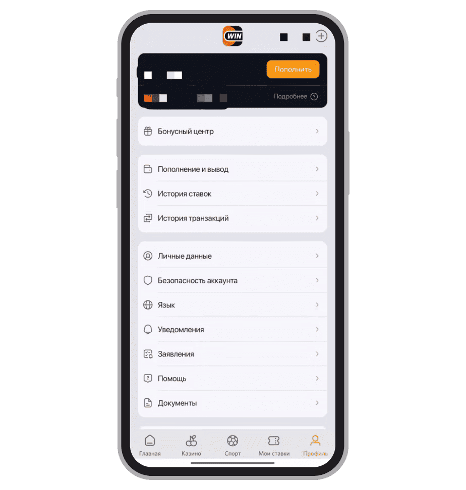 Разделы личного кабинета «Винлайн» Беларусь