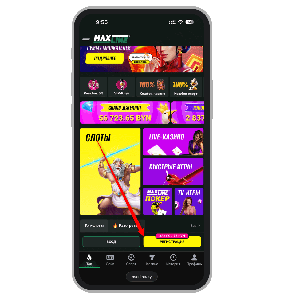 Стартовая страница приложения Maxline