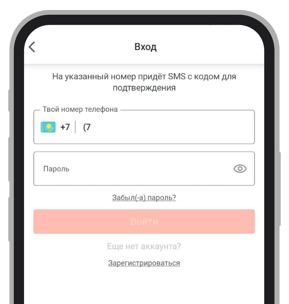 Страница входа