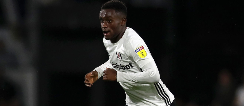Fulham – Stoke City: ponturi pariuri sportive Championship