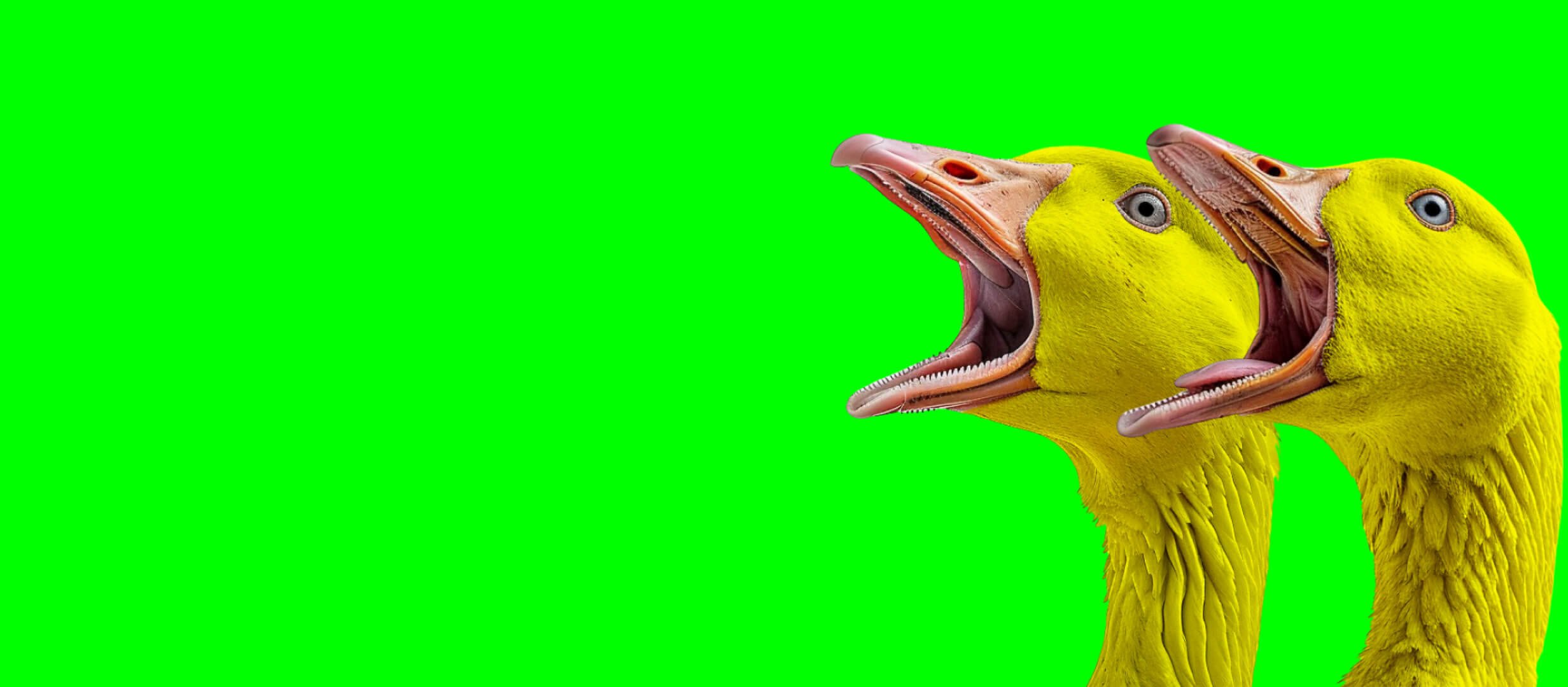 Фрибет от Maxline 100000 руб..