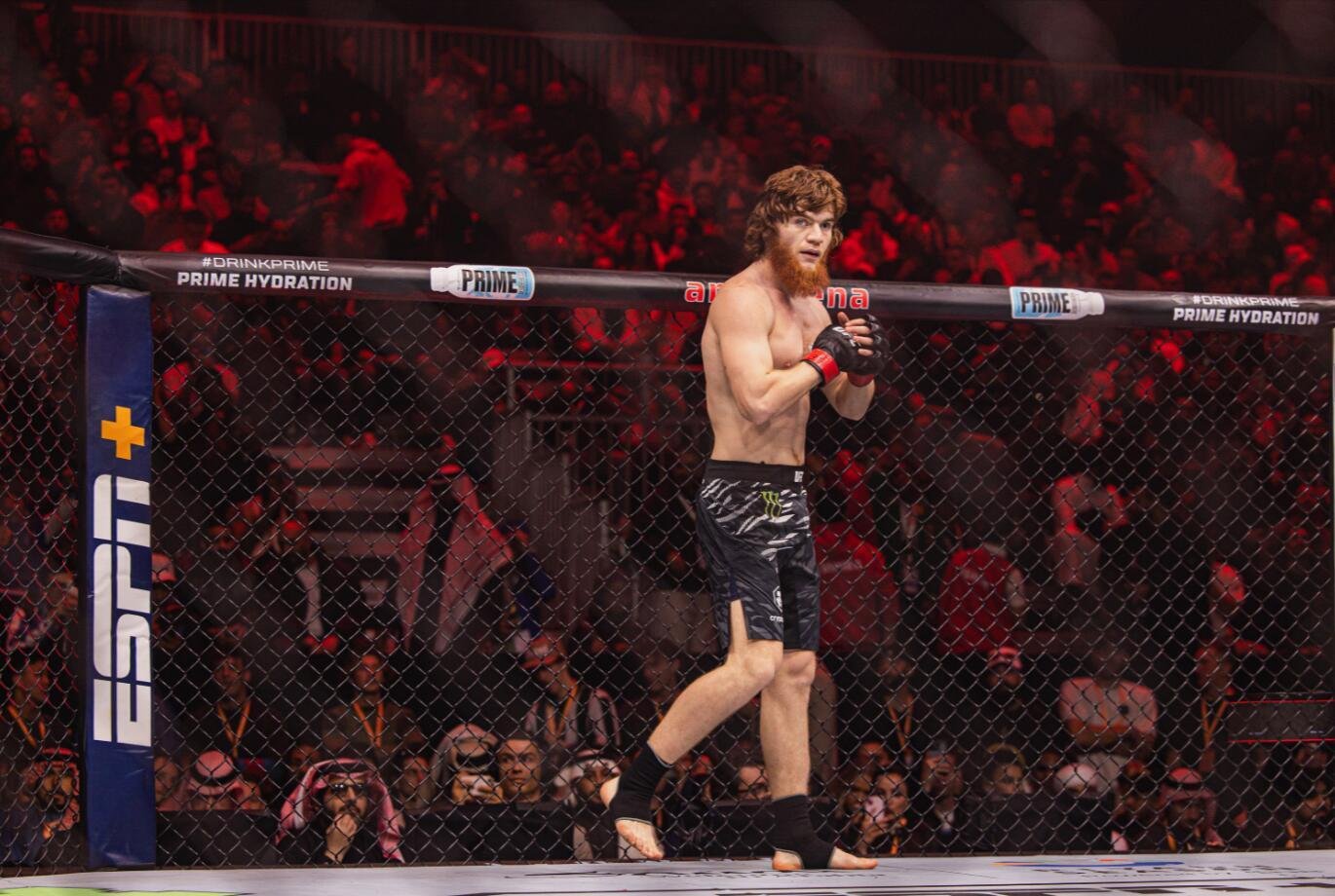 Никита Жегулин: Шара Буллет потренировал удары ногами на огромном сгнившем пне: видео.