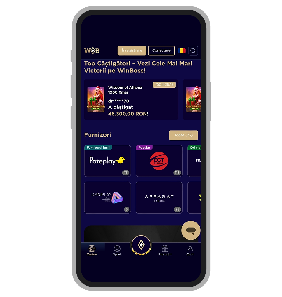 Furnizori de software WinBoss