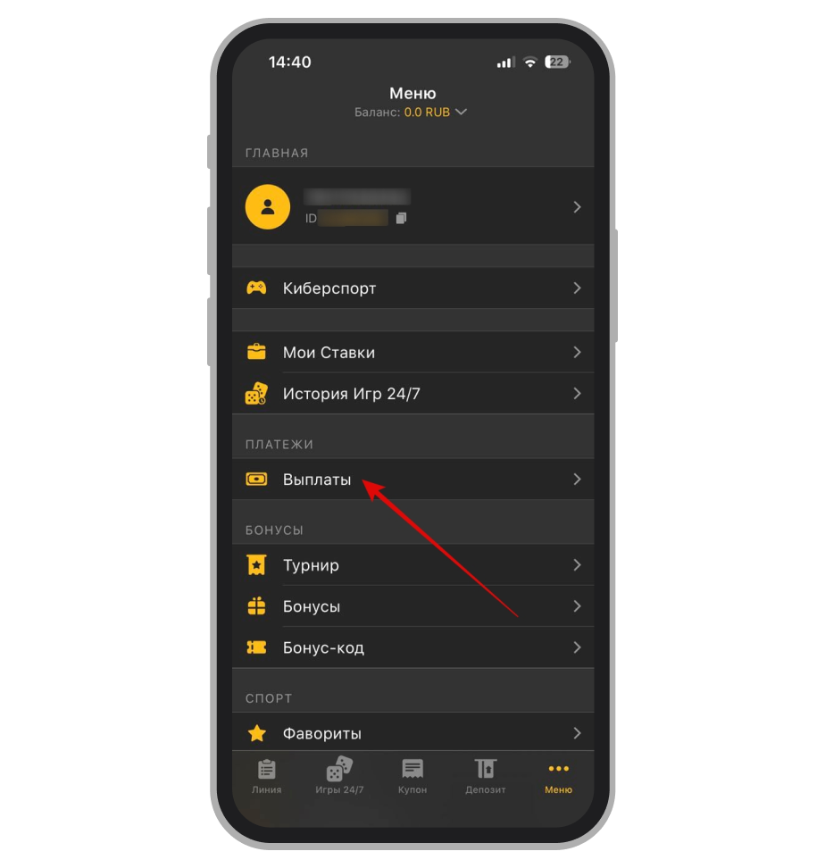 Раздел для заказа выплаты