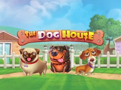 The Dog House
