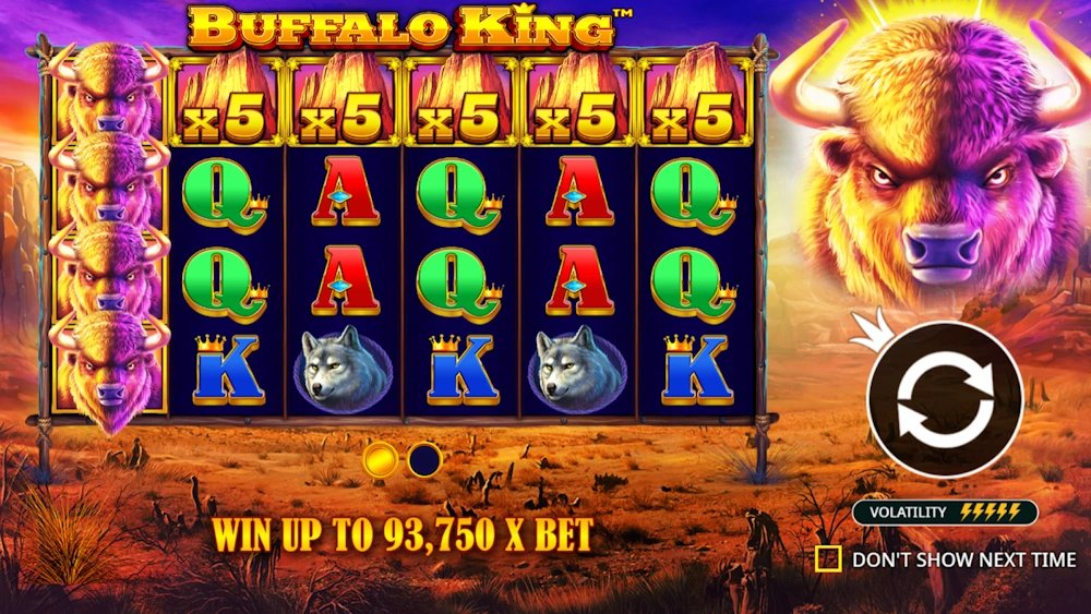 Buffalo King
